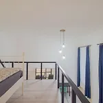 Industrial Double Loft Apartment